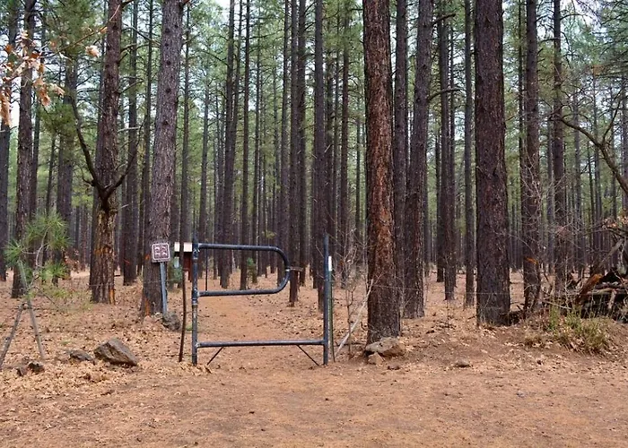 Mountain Escape In Pinetop, Az Holiday home