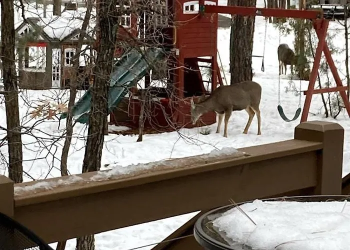 Mountain Escape In Pinetop, Az * Pinetop-Lakeside